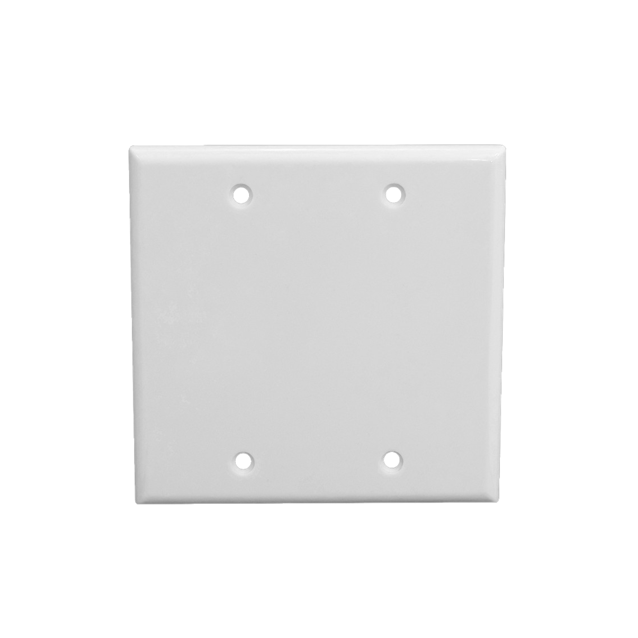 Weltron Double Gang Blank Faceplate White