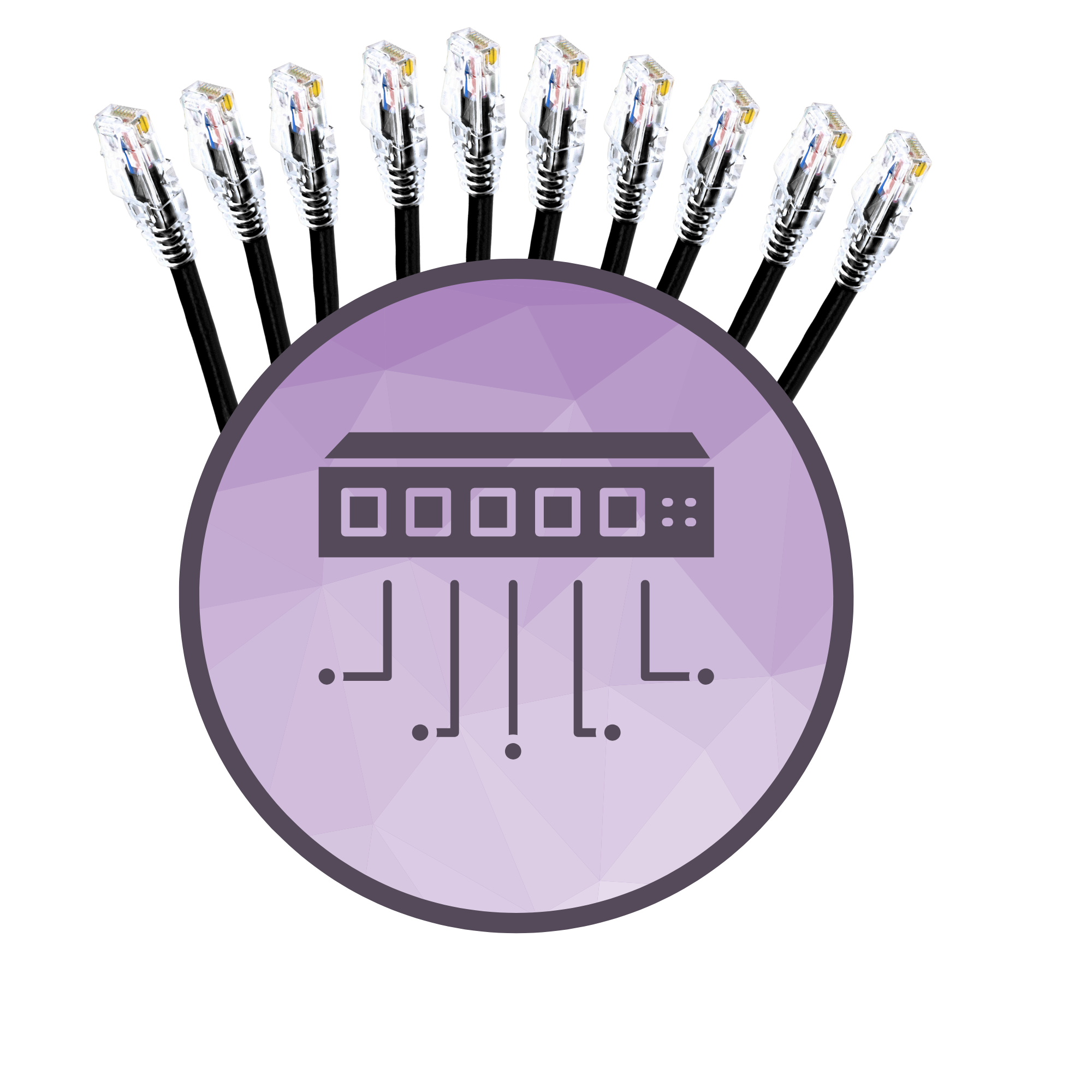 10-Pack Snagless Cat 6 Ethernet Cable - 10ft, Cat 6 Cable, Cat6 Cord, Ethernet Cord, Black