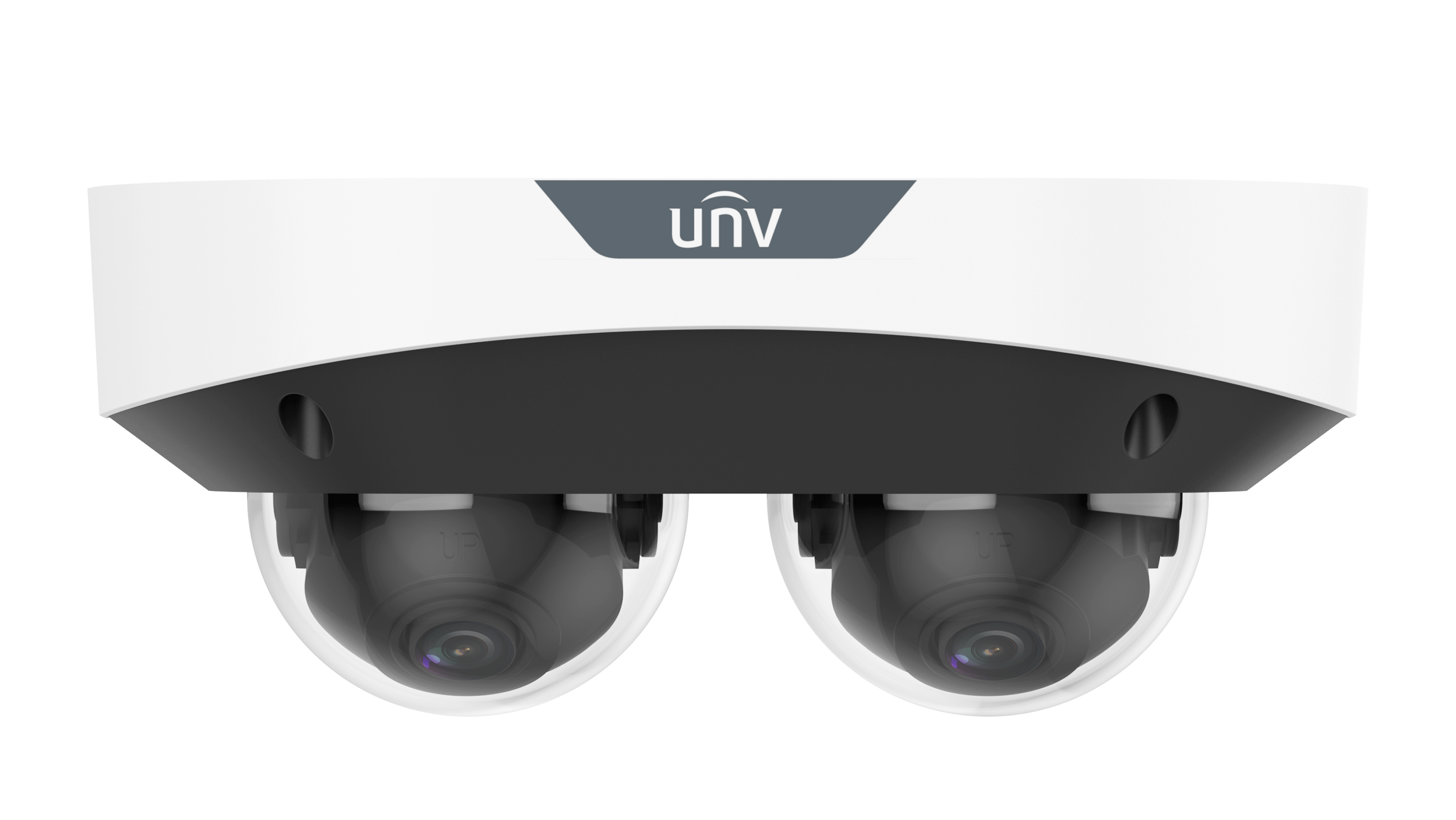 2*4MP LightHunter MultiView Fixed IR Dome Network Camera