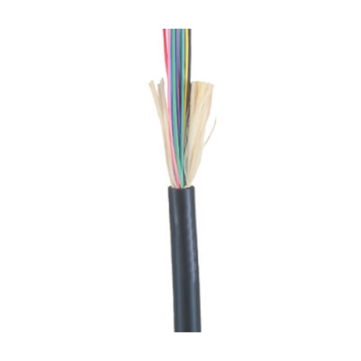 HITACHI, 6F, MM, 0M3, Plenum, Tight Buff, 50M, Corning Glass, Indoor/O