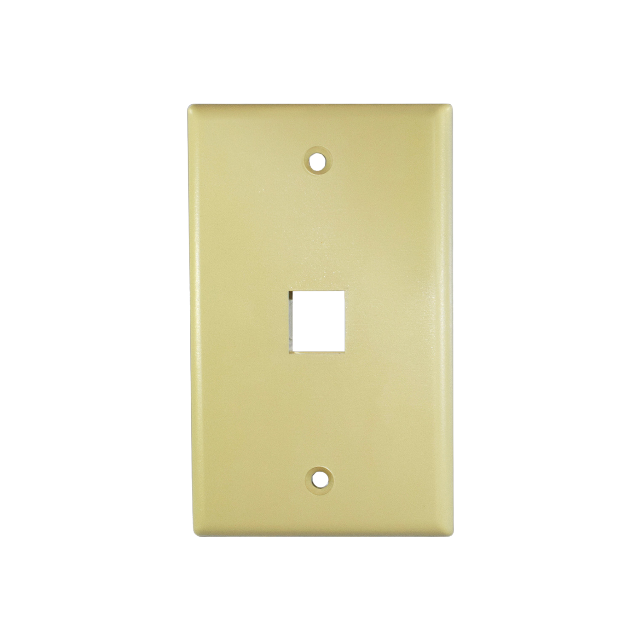 Weltron Keystone Wallplate