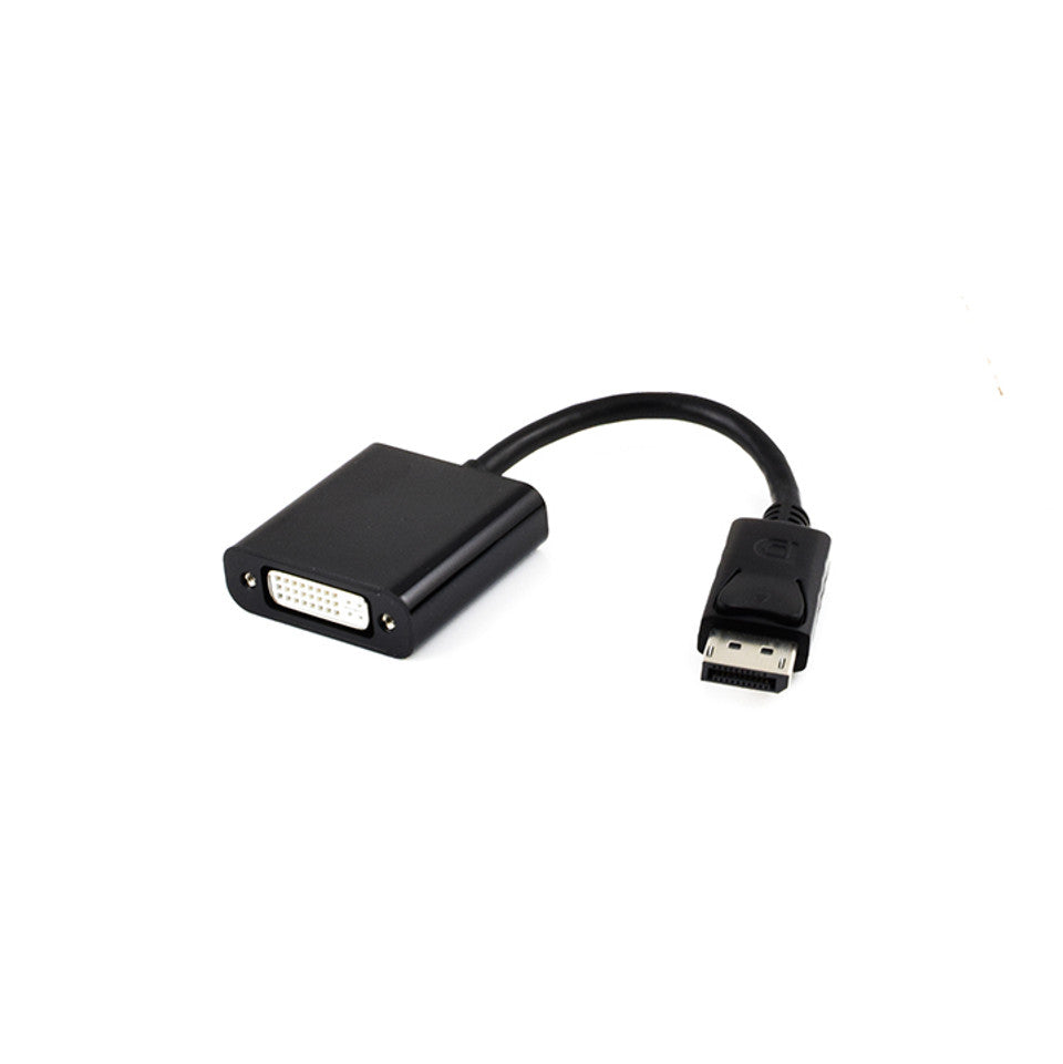 Weltron Display Port Male to DVI Female Adapter