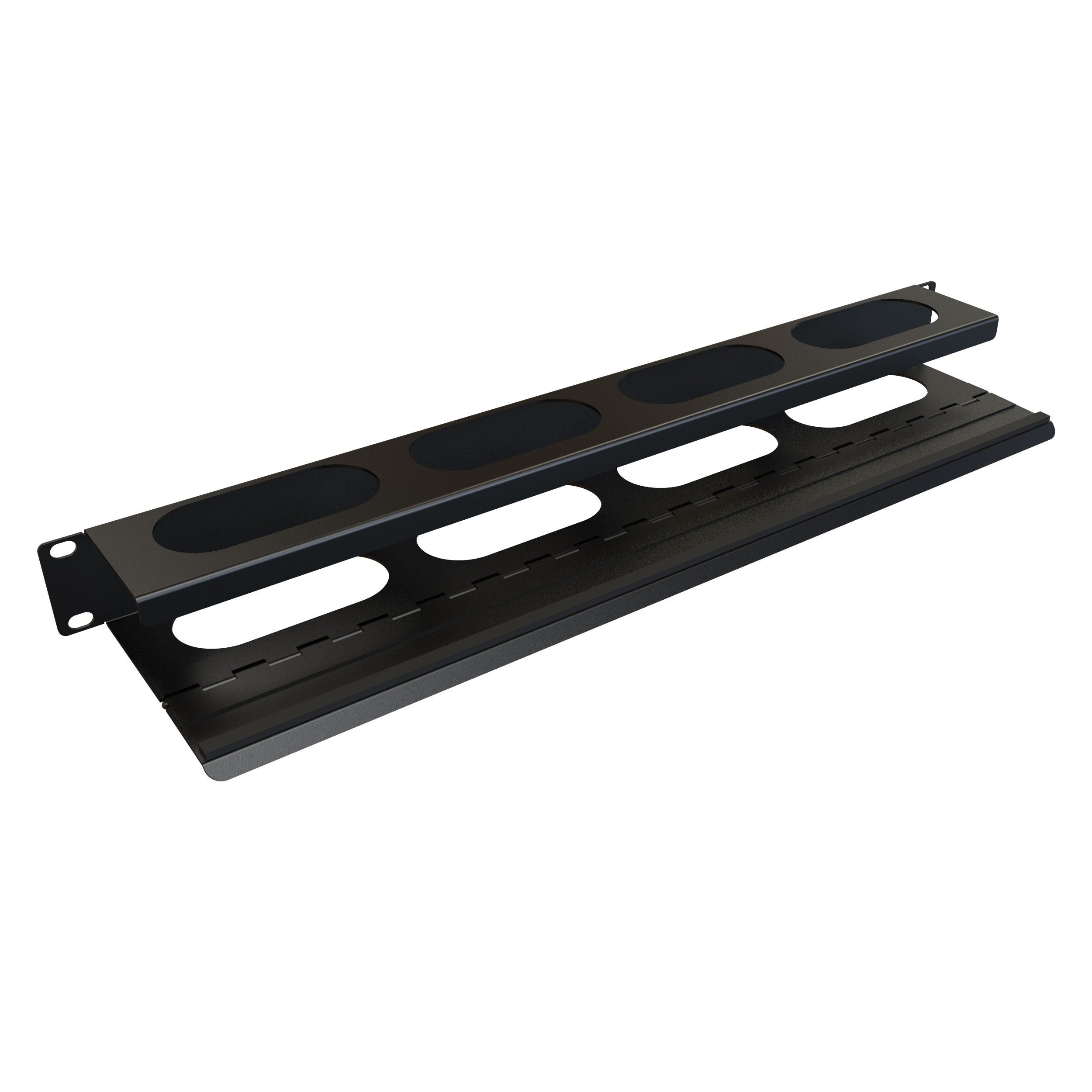 Hammond 1U HINGED MANAGER WITH DOOR