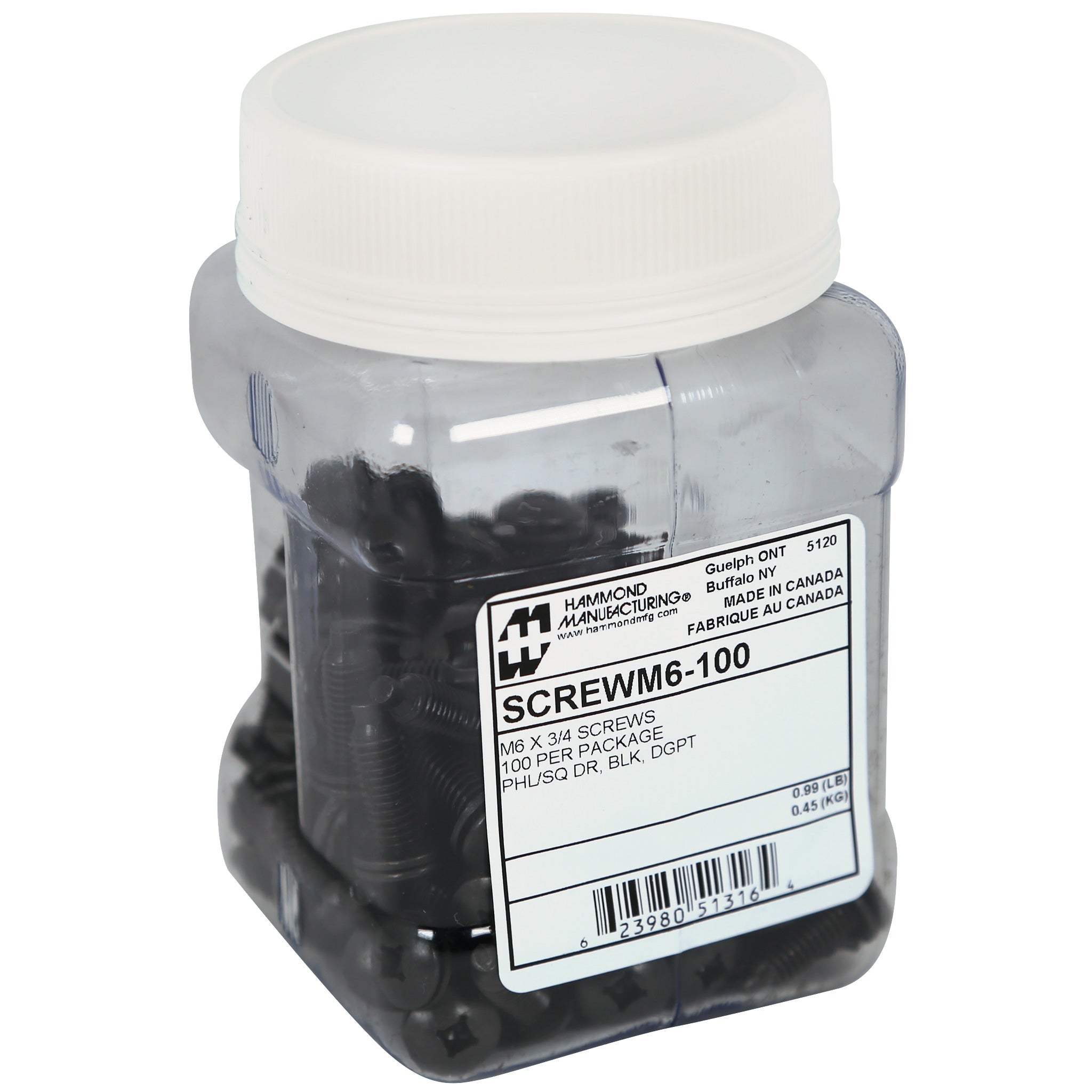 Hammond 100-PKG M6 RACK SCREWS