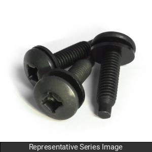 Hammond 10-PKG 10-32 RACK SCREWS